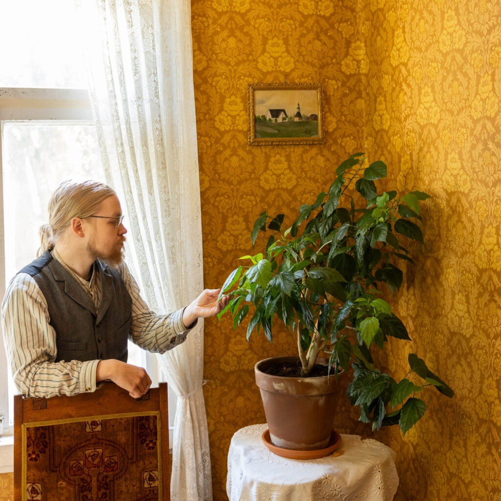 Mies hoitaa huonekasvia sisällä museokorttelin talossa.